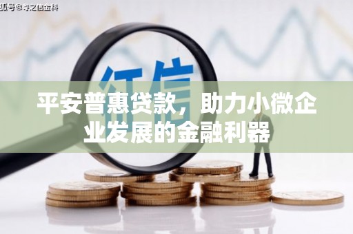 民和平安普惠贷款，助力小微企业发展的金融利器