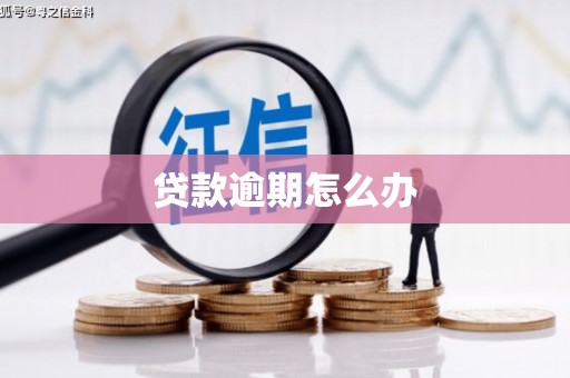 蓬江贷款逾期怎么办
