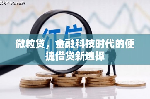 水林微粒贷，金融科技时代的便捷借贷新选择
