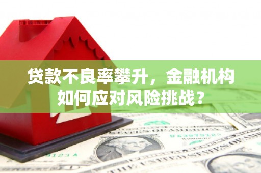 林周贷款不良率攀升，金融机构如何应对风险挑战？