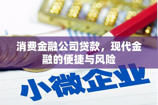 揭阳消费金融公司贷款，现代金融的便捷与风险
