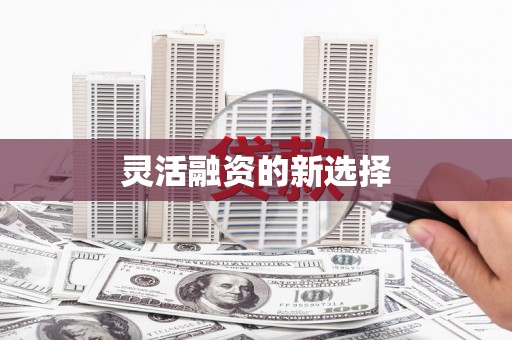 巴楚灵活融资的新选择
