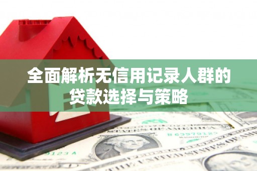 左镇全面解析无信用记录人群的贷款选择与策略
