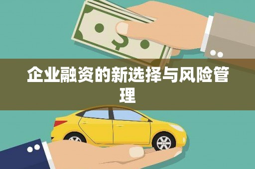 小金企业融资的新选择与风险管理