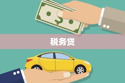 嘉禾税务贷