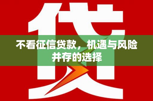 天宁不看征信贷款，机遇与风险并存的选择