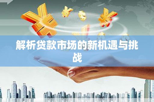 洛扎解析贷款市场的新机遇与挑战